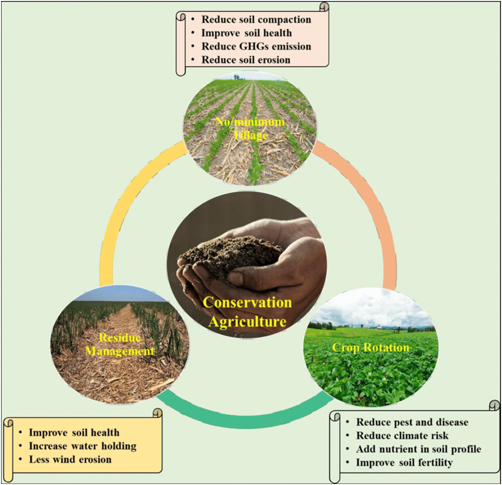 Conservation Agriculture - principles , benefits & problems