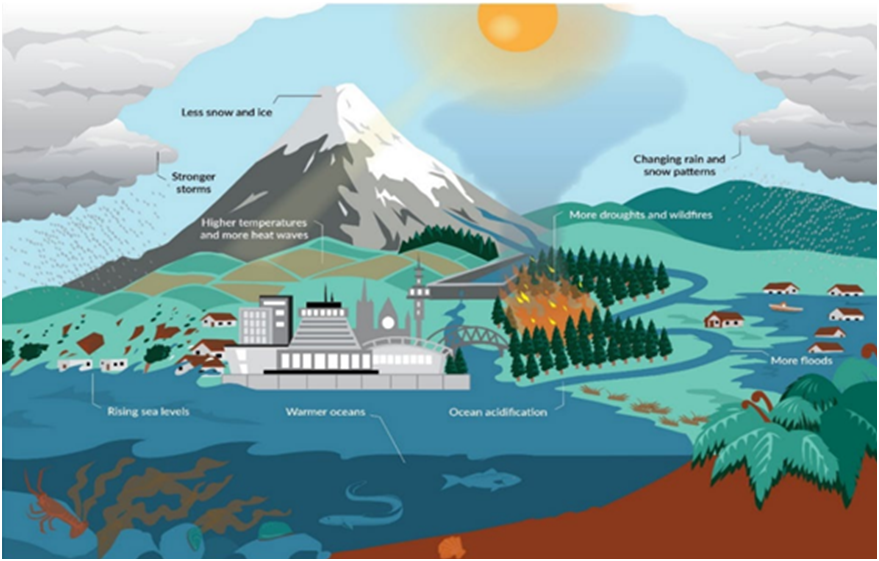 Impact of climate change