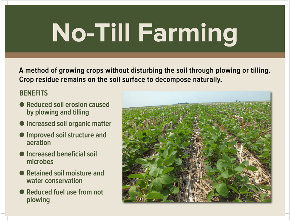 Zero Tillage – the no till approach