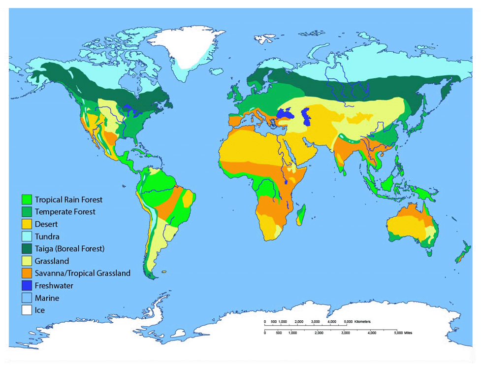 Indicate The Major Biotic Regions Of The World And Discuss The   Image 49 