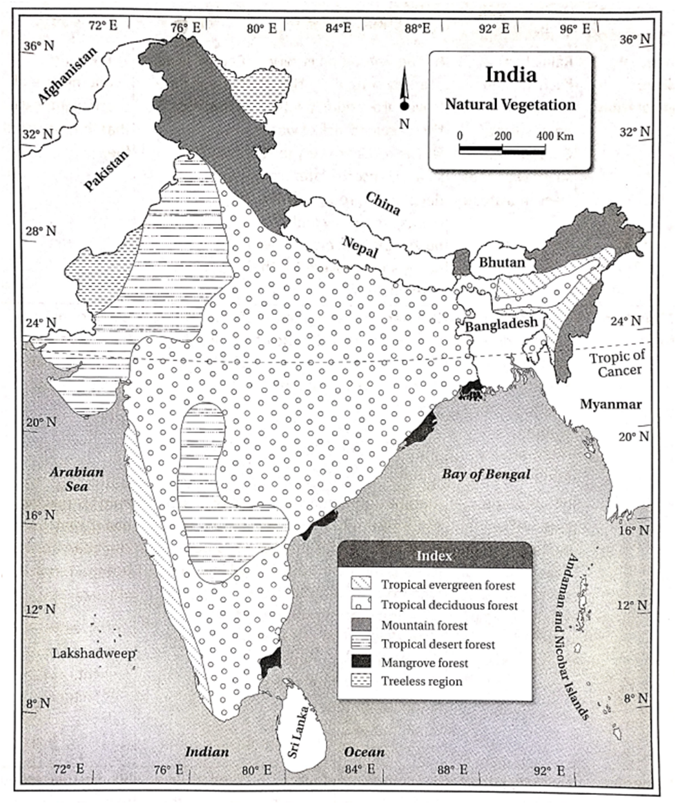 Tropical Deciduous Forests of India – Types, Distribution ...