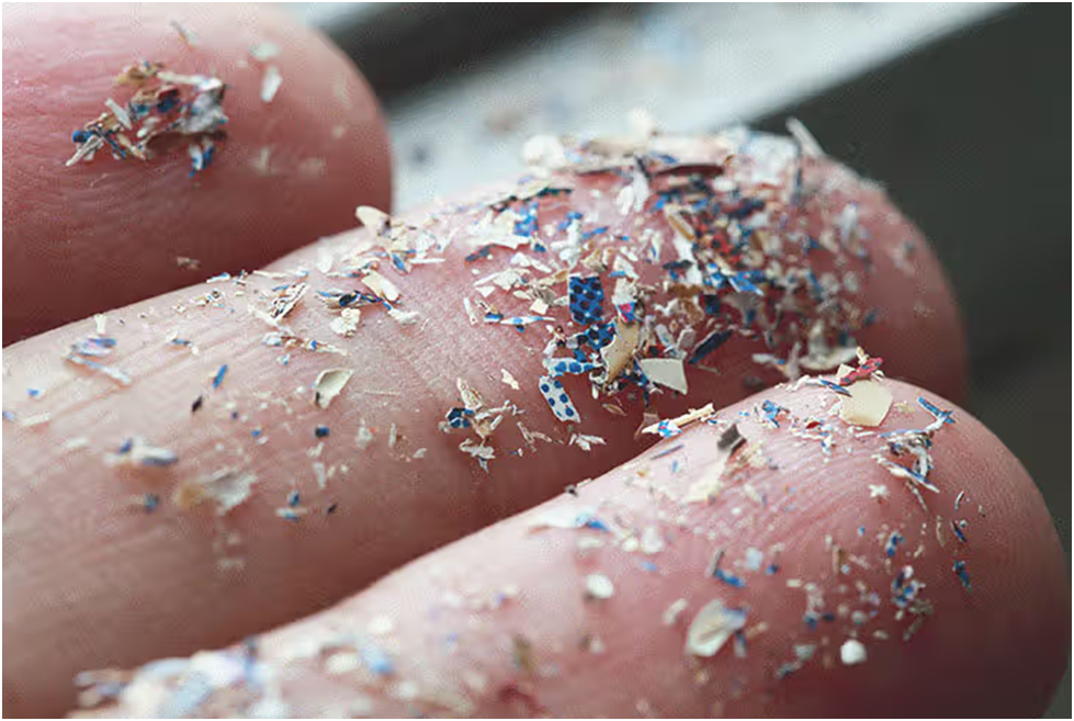 Microplastics : Definition, Sources, Types and Impact