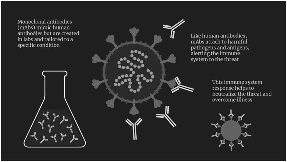 Monoclonal Antibodies : Definition, Production, Uses, Advantages and Challenges