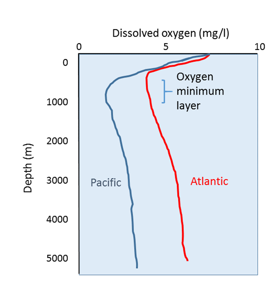 Dissolved Oxygen in Seas and Oceans