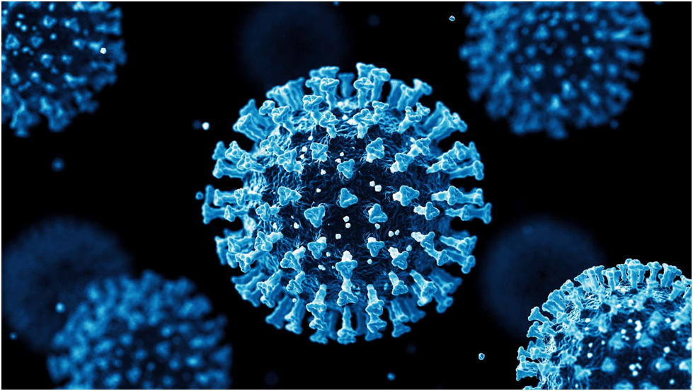 Viruses : Characteristics, Structure, Diseases, Role and Applications