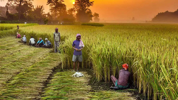 Prime Minister Dhan-Dhaanya Krishi Yojana (PMDDKY) : Outlay, Focus, Objectives and Implementation
