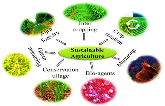 Government Initiatives for Sustainable Agriculture